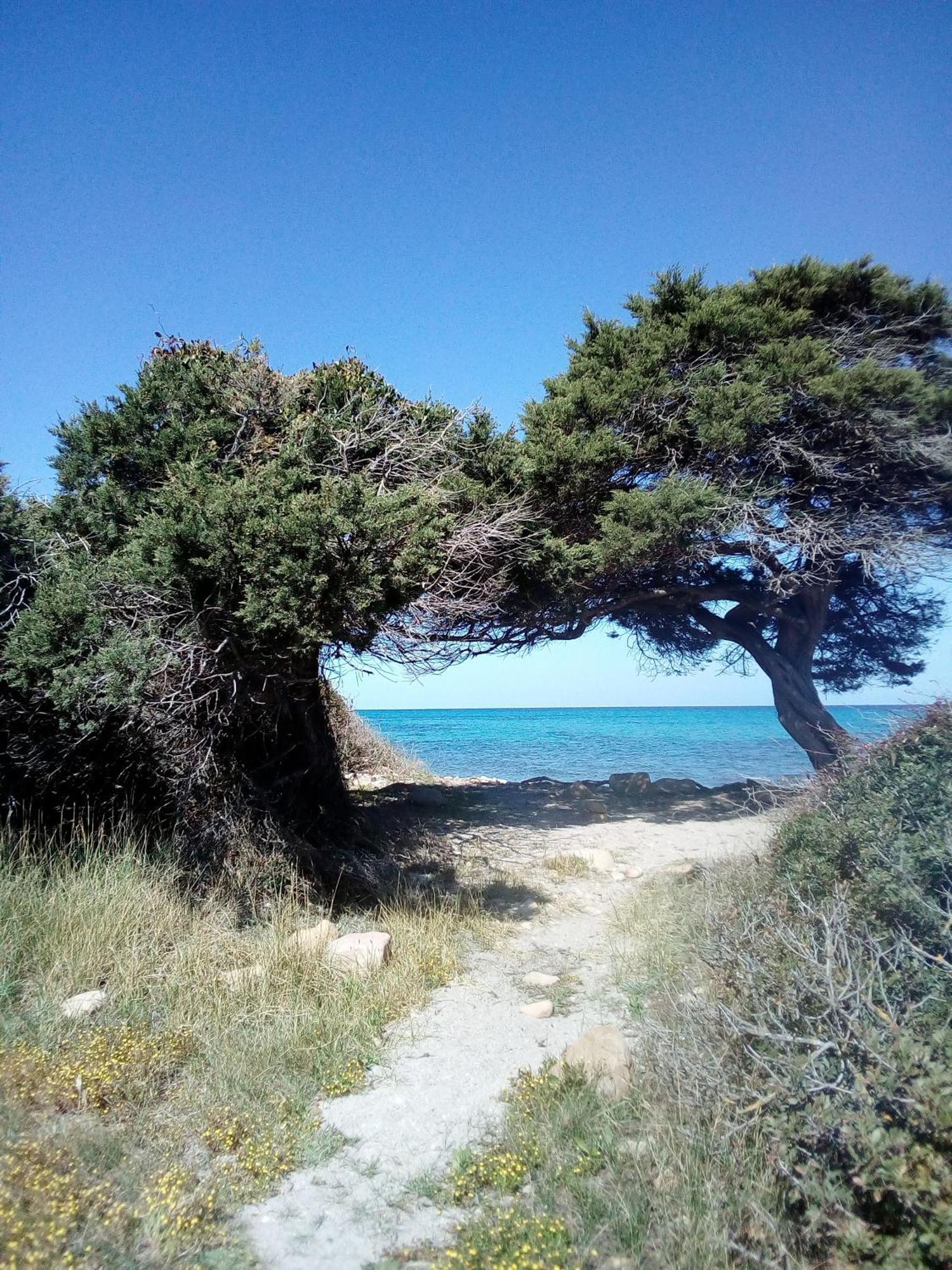 Summer Room- Fronte Spiaggia La Caletta Zewnętrze zdjęcie